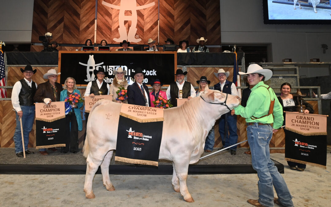 Houston Livestock Show and Rodeo Grand Champion Steer purchased by Alan Kent